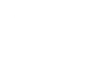 Bar Beach Bowling Club Logo